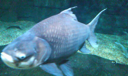 サービスエリアにて