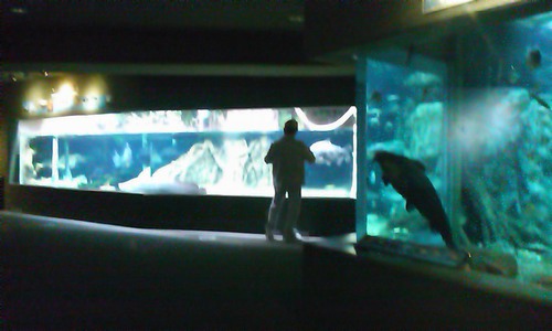 サービスエリアにて