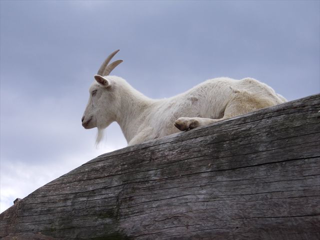 姫路セントラルパーク　②