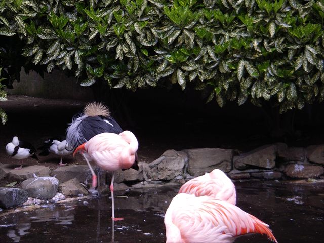 姫路セントラルパーク　②