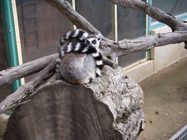 姫路セントラルパーク　②