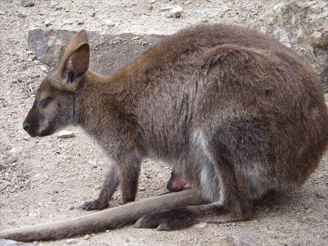 姫路セントラルパーク　②