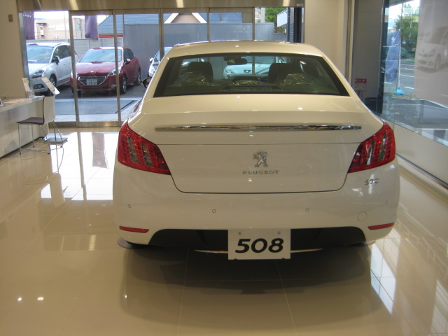 508入荷しました