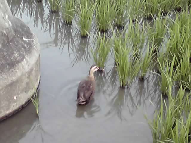 うらやましい～