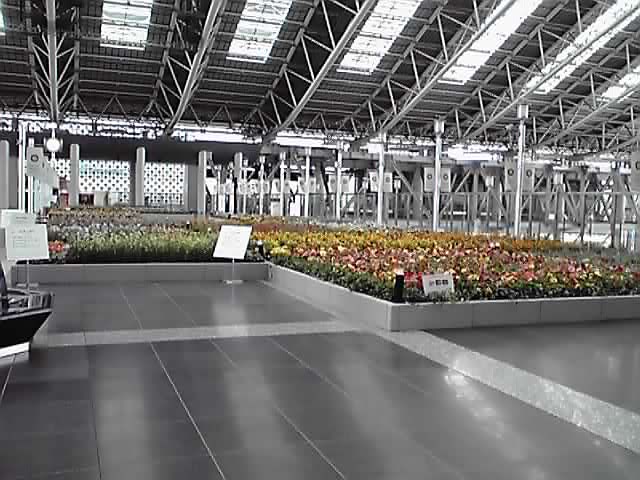 フラワーアート