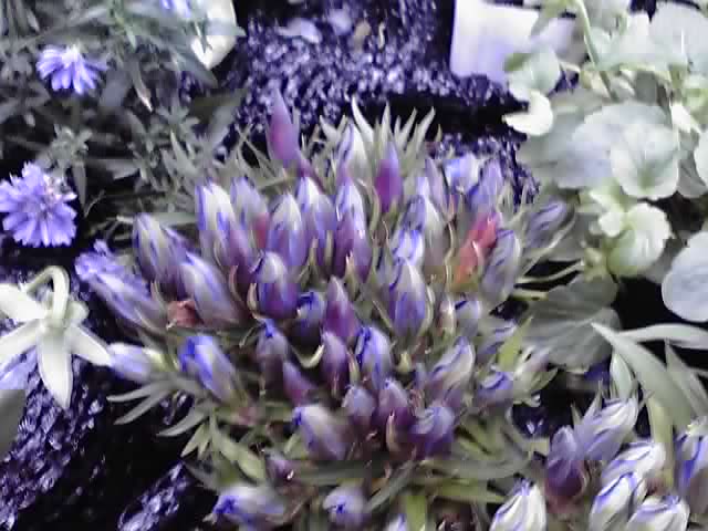 フラワーアート