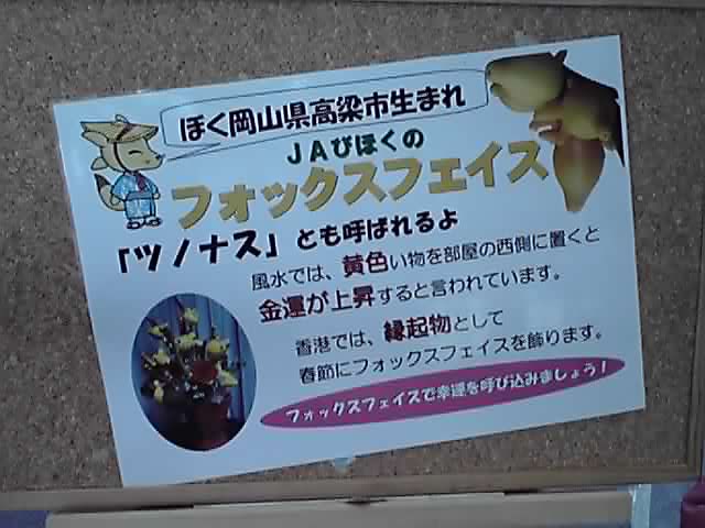 フラワーアート