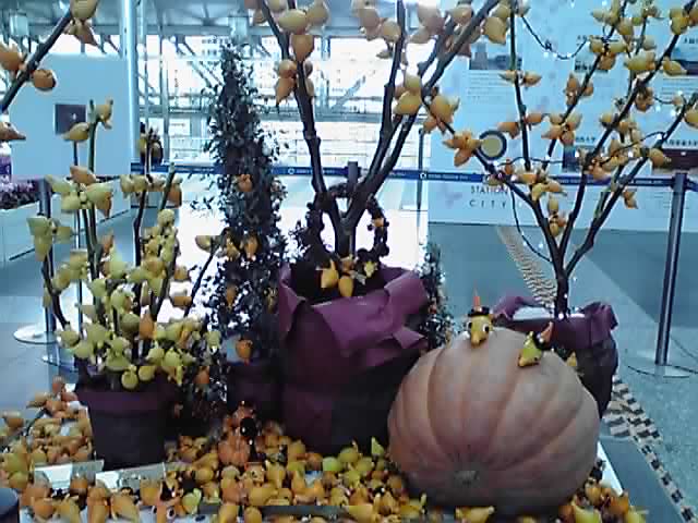 フラワーアート