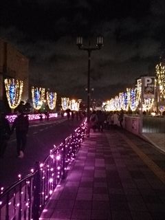 イルミネーションの時期ですねぇ
