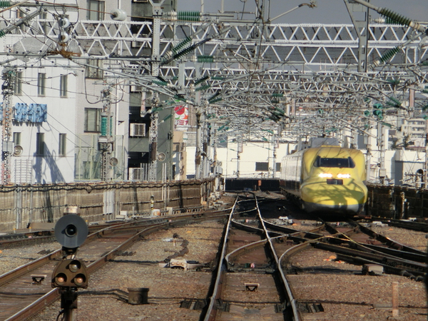 幸せの黄色い・・・