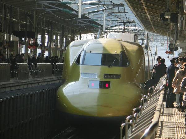 幸せの黄色い・・・