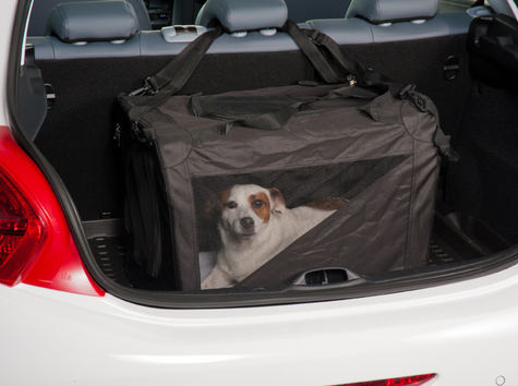 おすすめアクセサリー