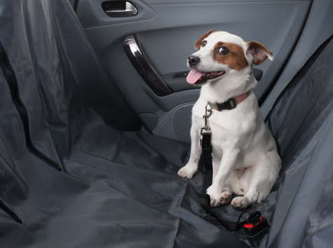 おすすめアクセサリー