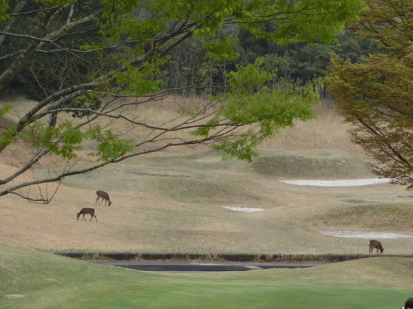 遠いけど・・・
