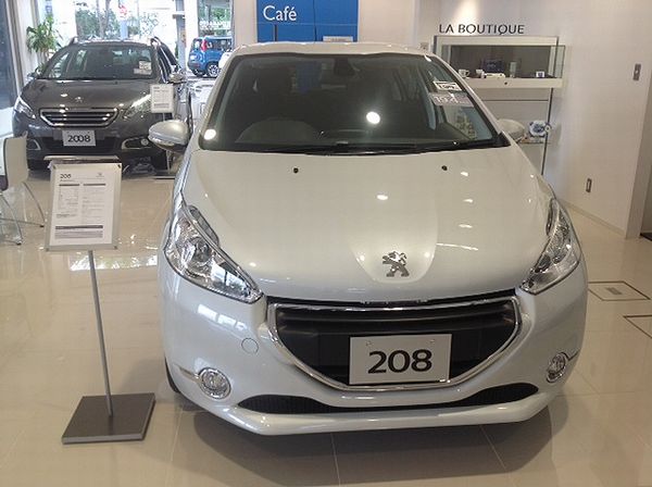 NEWカラー入荷しました