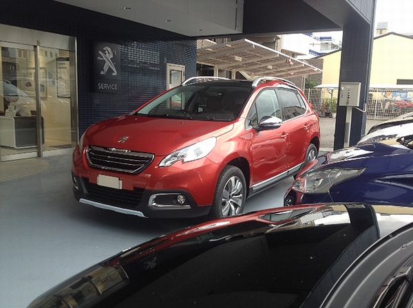 NEWカラー入荷しました