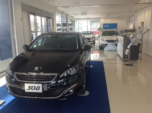 いよいよラストチャンスです