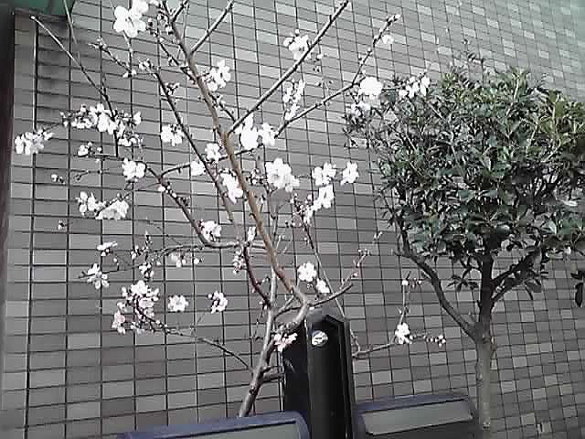 春・・・
