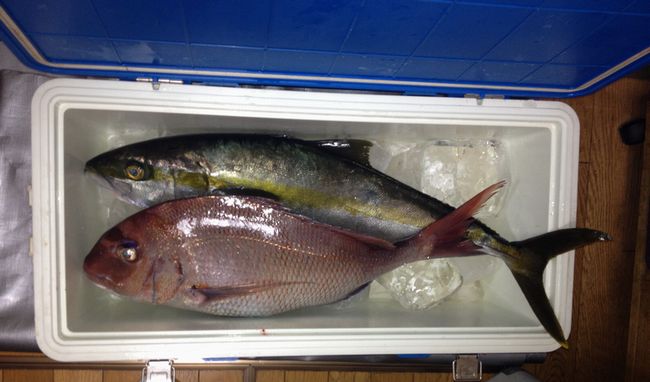 釣果