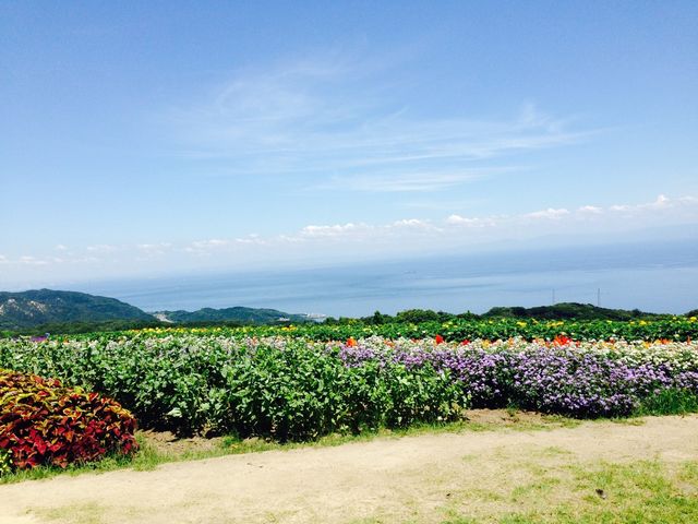 夏といえば・・・