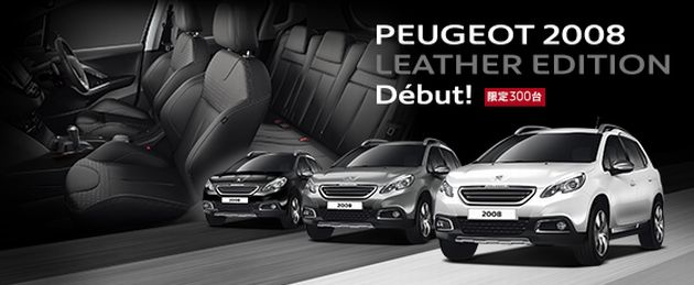 2008 LEATHER EDITION