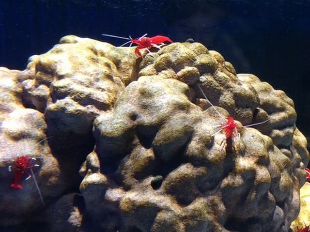 にふれる