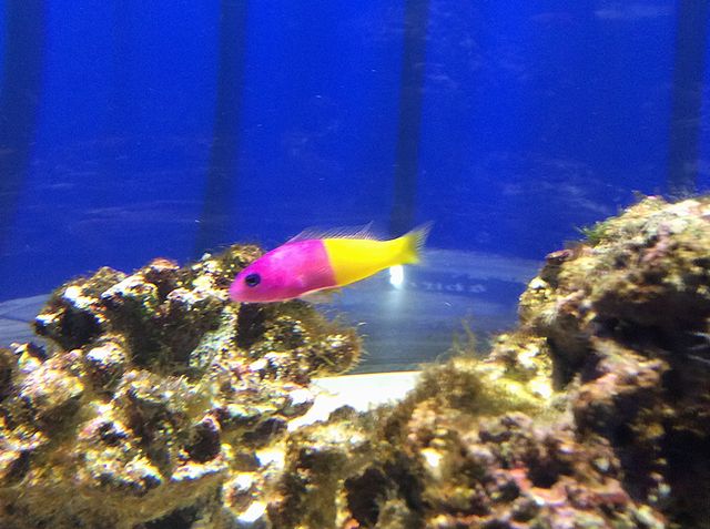 にふれる