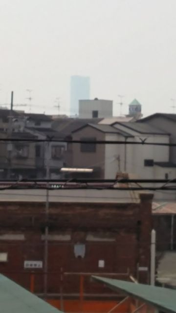 花粉