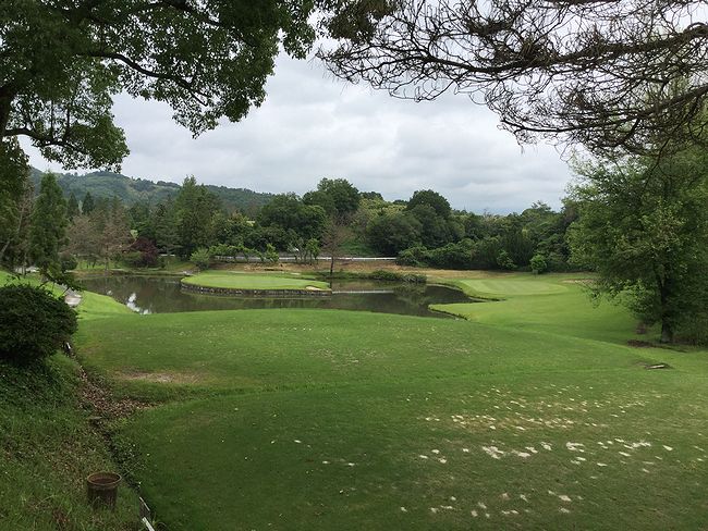 暑いですね・・・