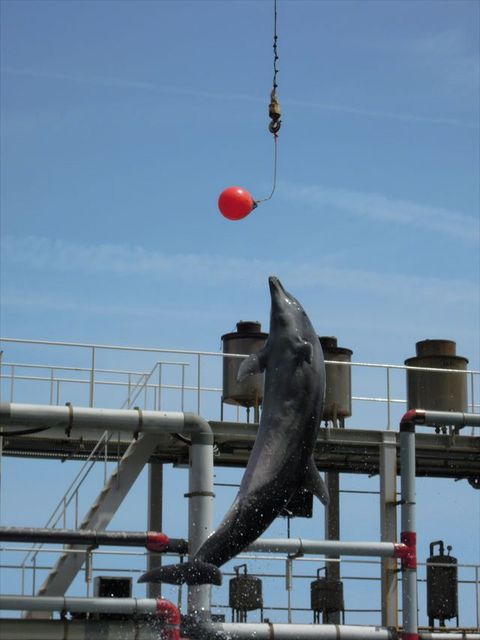城崎温泉へ　パートⅡ