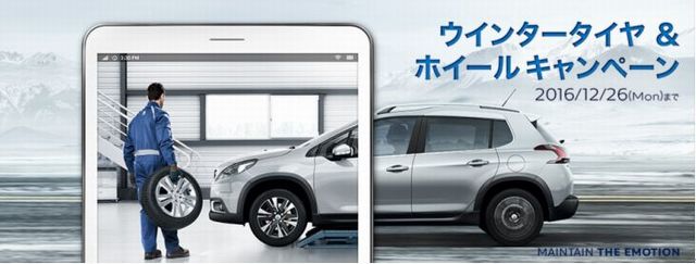 キャンペーン！！
