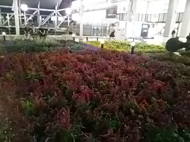 フラワーアートミュージアム