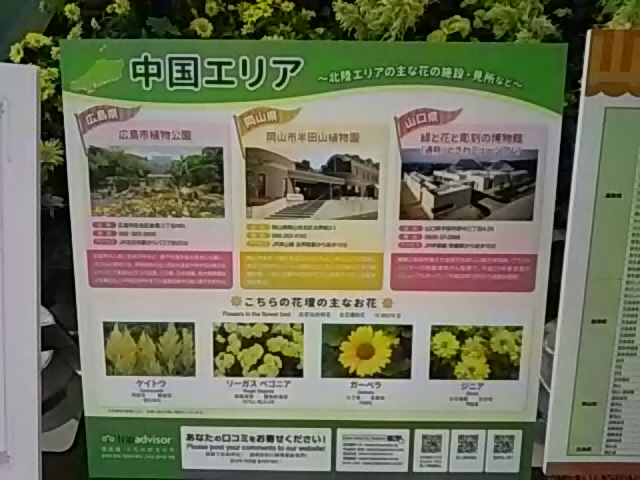 フラワーアートミュージアム