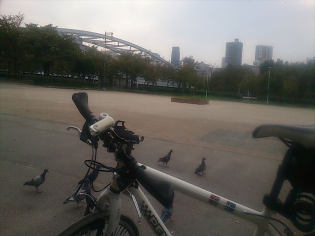 自転車放浪記～ご近所散歩～