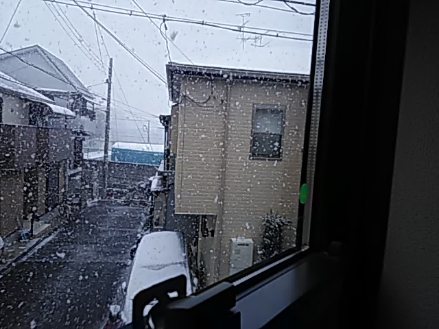 まだ寒いですが・・・