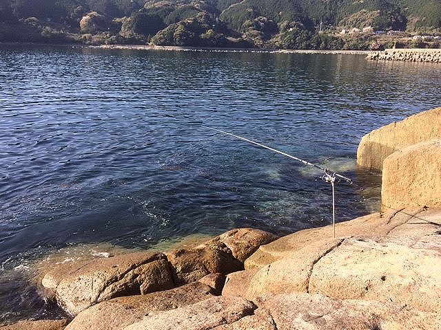 久しぶりに・・・