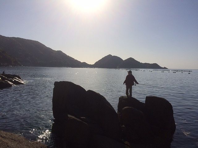 久しぶりに・・・