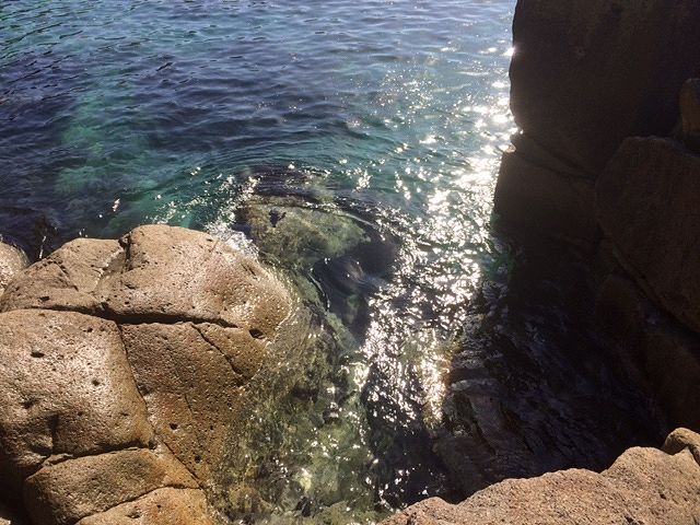 久しぶりに・・・