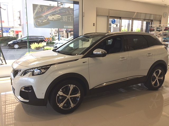 3008GT到着しました!!