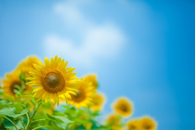 本日より営業再開です♪