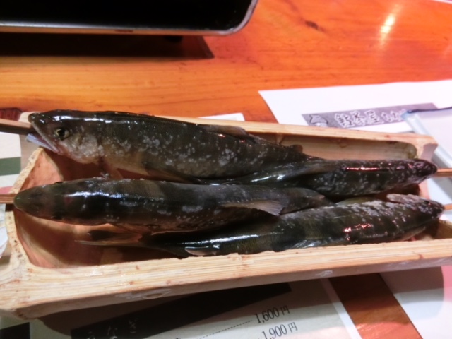 ぶらりドライブ日記～coupe407編～