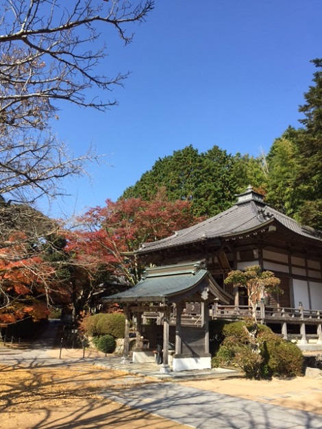 紅葉シーズン到来