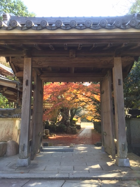 紅葉シーズン到来