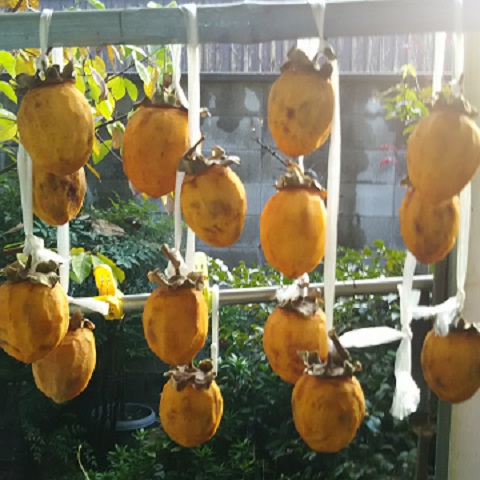 干し柿にチャレンジ