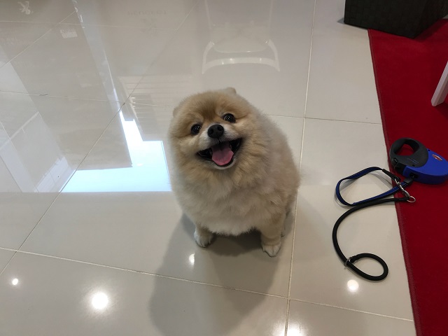 視線の先に・・・わん。