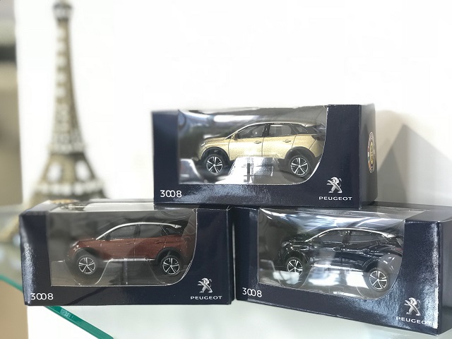 3008 SPECIAL EDITION DEBUT！