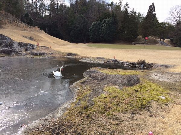 寒くても行きます
