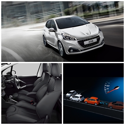 208 Leather Edition デビューフェア開催