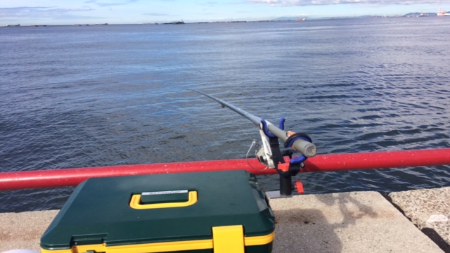 久しぶりに・・・