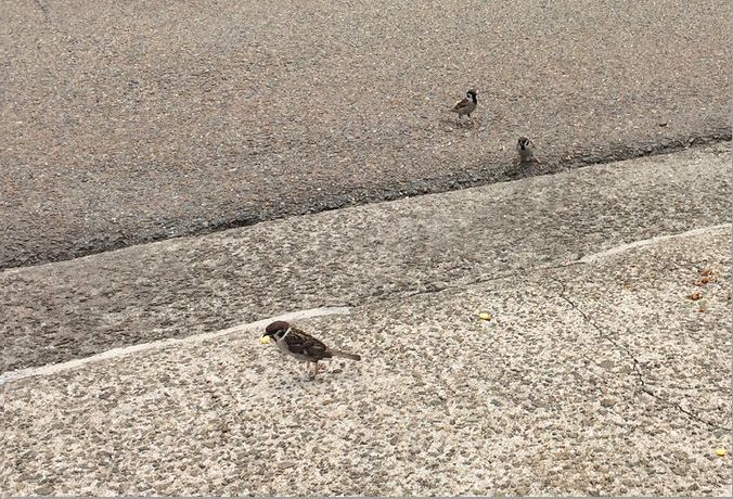 久しぶりに・・・